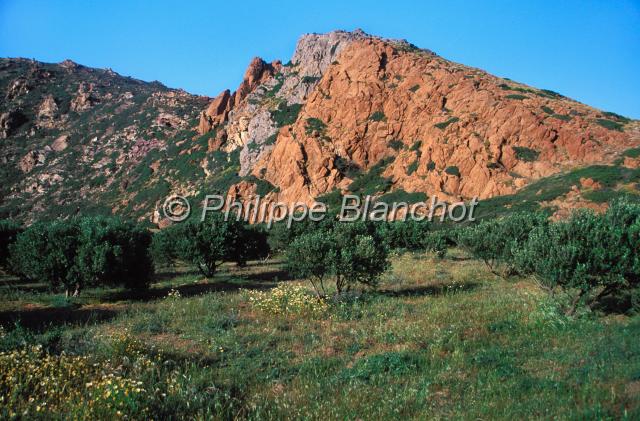 crete 07.JPG - Région de VaiCrète